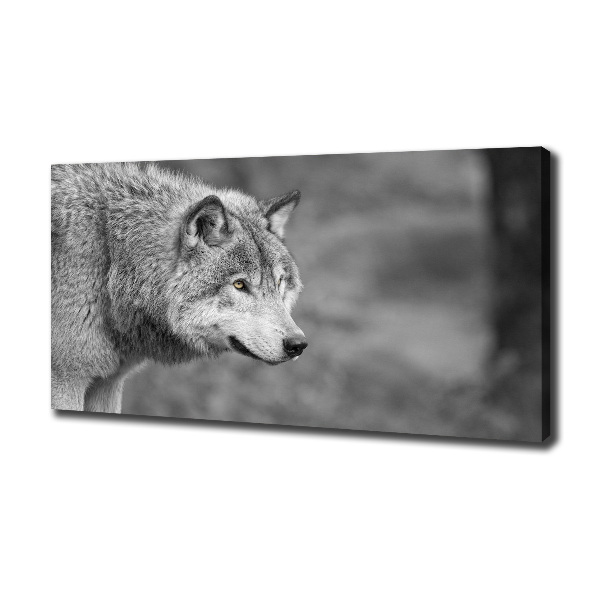 Foto canvas Grijze wolf