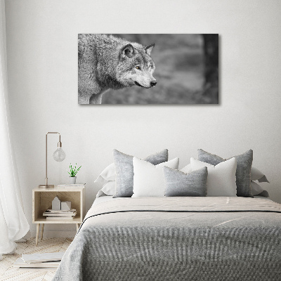 Foto canvas Grijze wolf