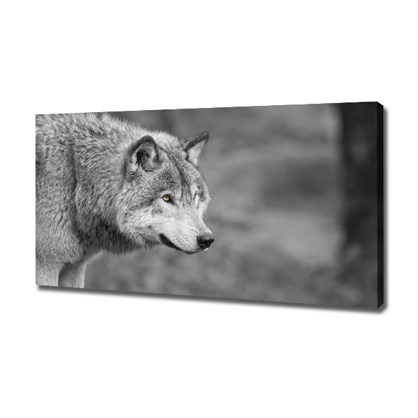 Foto canvas Grijze wolf