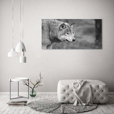 Foto canvas Grijze wolf