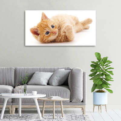Foto op canvas Gemberkat