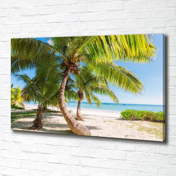 Foto op canvas Tropisch strand