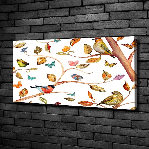 Foto op canvas Vogels en vlinders