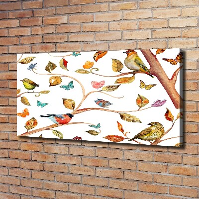 Foto op canvas Vogels en vlinders