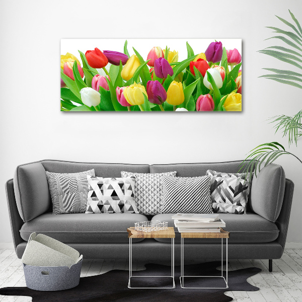 Canvas schilderij Kleurrijke tulpen