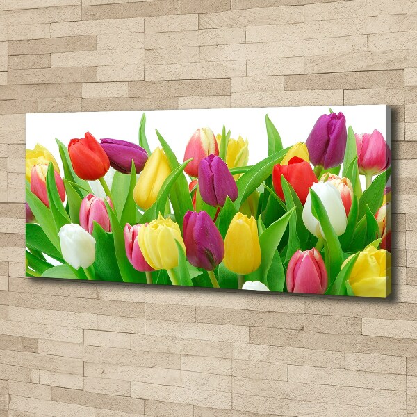 Canvas schilderij Kleurrijke tulpen