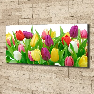 Canvas schilderij Kleurrijke tulpen