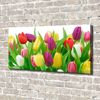 Canvas schilderij Kleurrijke tulpen