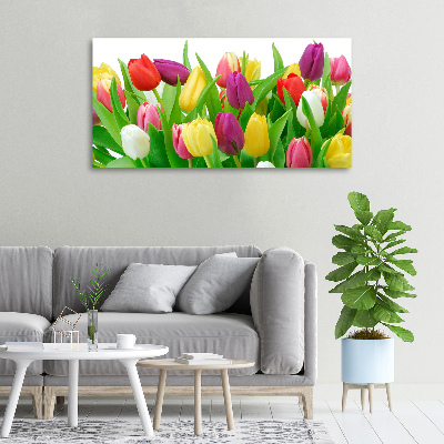 Canvas schilderij Kleurrijke tulpen