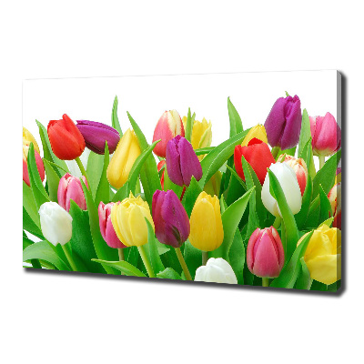 Canvas schilderij Kleurrijke tulpen
