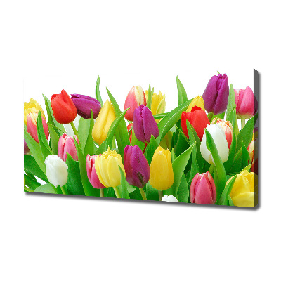 Canvas schilderij Kleurrijke tulpen