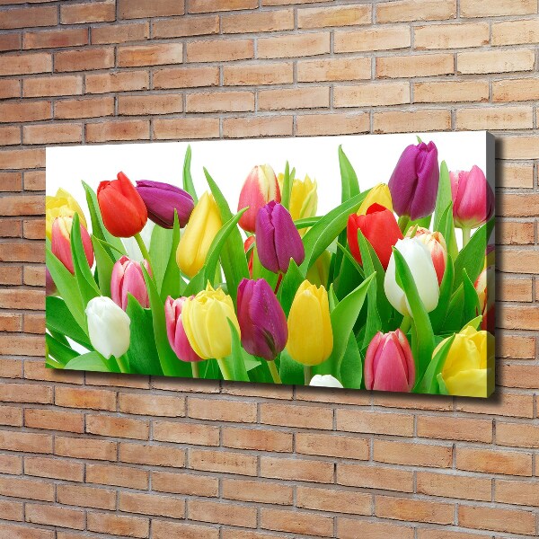 Canvas schilderij Kleurrijke tulpen