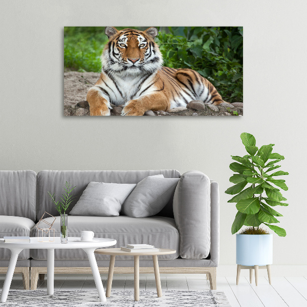 Canvas schilderij Siberische tijger