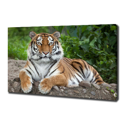 Canvas schilderij Siberische tijger