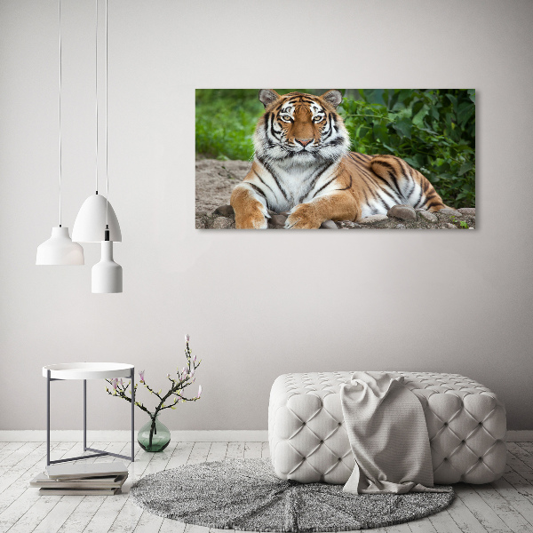 Canvas schilderij Siberische tijger