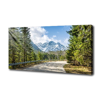 Schilderij op canvas Tatra-gebergteweg