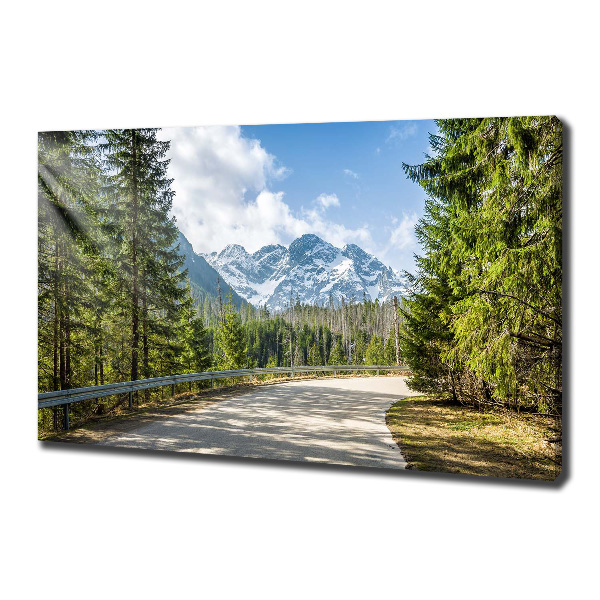 Schilderij op canvas Tatra-gebergteweg