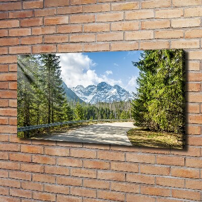 Schilderij op canvas Tatra-gebergteweg