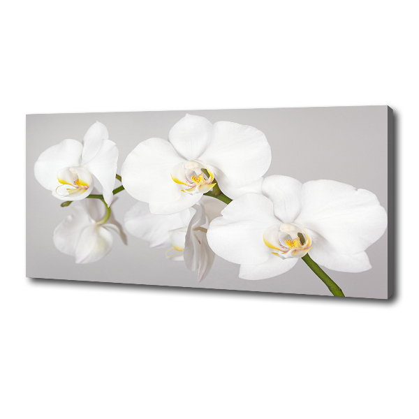 Foto op canvas Orchidee