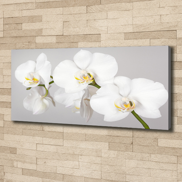 Foto op canvas Orchidee