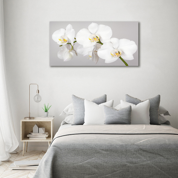 Foto op canvas Orchidee