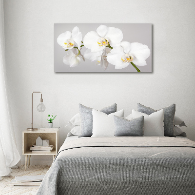Foto op canvas Orchidee