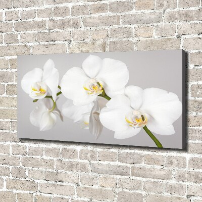 Foto op canvas Orchidee