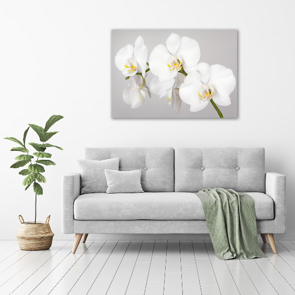 Foto op canvas Orchidee