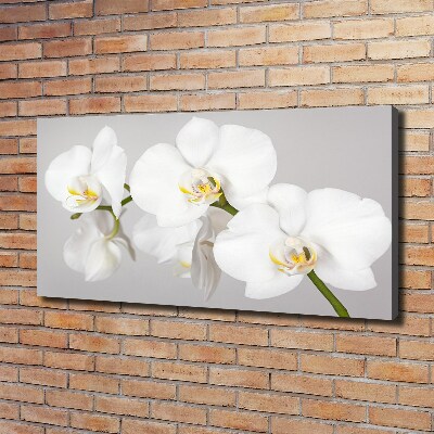 Foto op canvas Orchidee