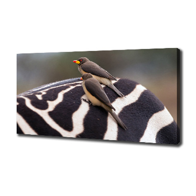Foto canvas Vogels en zebra's