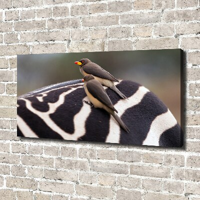 Foto canvas Vogels en zebra's