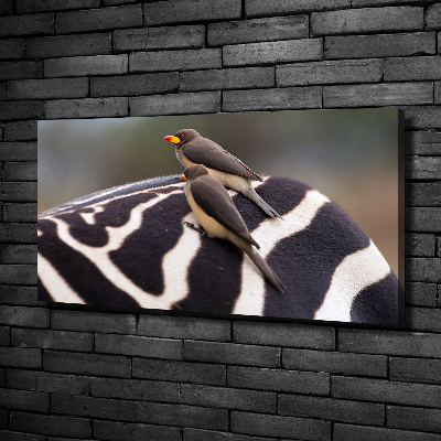 Foto canvas Vogels en zebra's