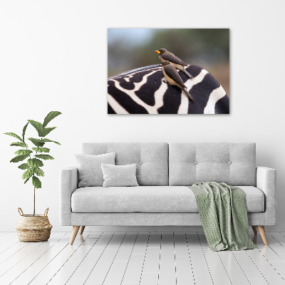 Foto canvas Vogels en zebra's