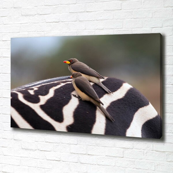 Foto canvas Vogels en zebra's