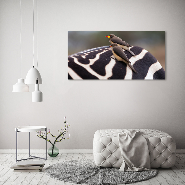 Foto canvas Vogels en zebra's