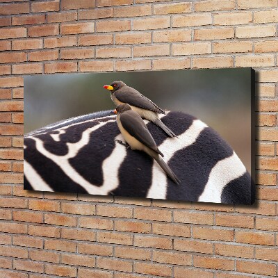 Foto canvas Vogels en zebra's