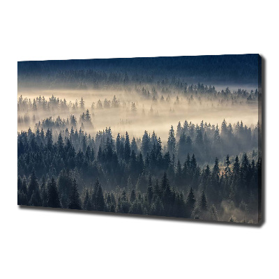 Canvas schilderij Mist boven het bos