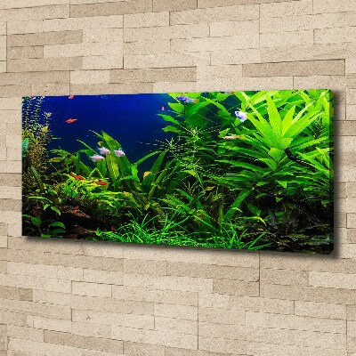 Schilderij op canvas Vissen in het aquarium