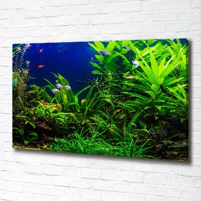 Schilderij op canvas Vissen in het aquarium