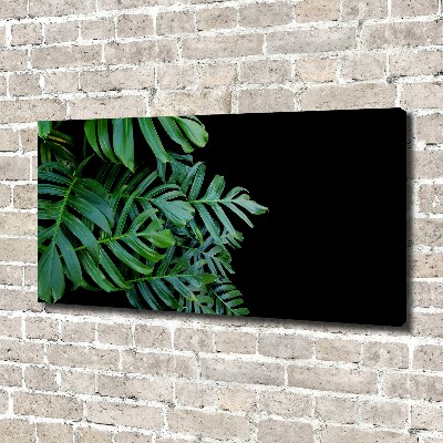 Schilderij op canvas Monstera
