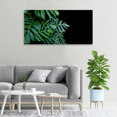 Schilderij op canvas Monstera