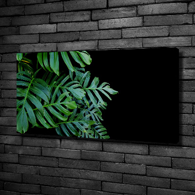 Schilderij op canvas Monstera