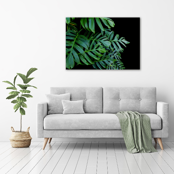 Schilderij op canvas Monstera