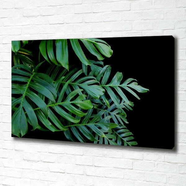 Schilderij op canvas Monstera