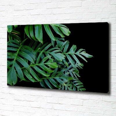 Schilderij op canvas Monstera