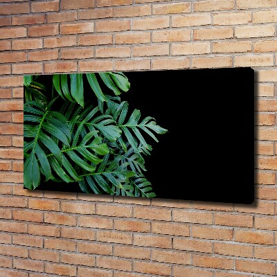 Schilderij op canvas Monstera