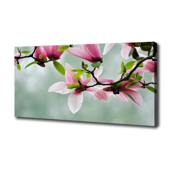 Foto canvas Magnolia