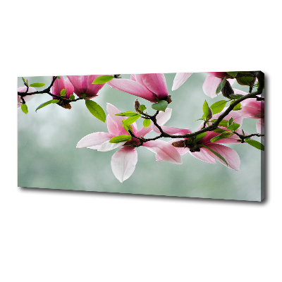 Foto canvas Magnolia