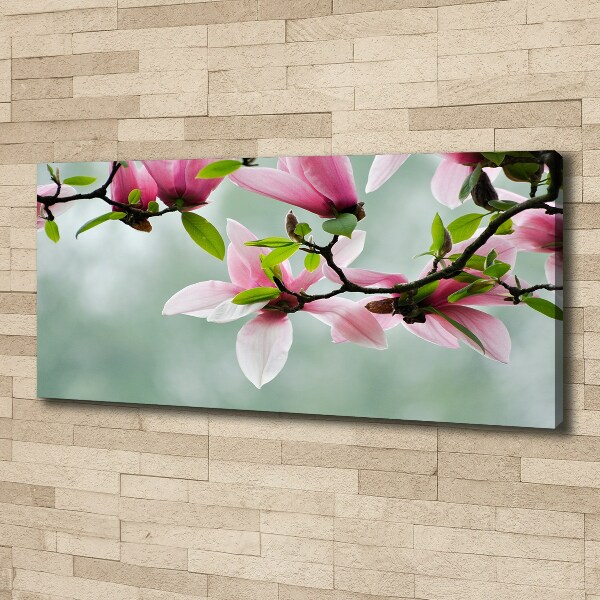 Foto canvas Magnolia