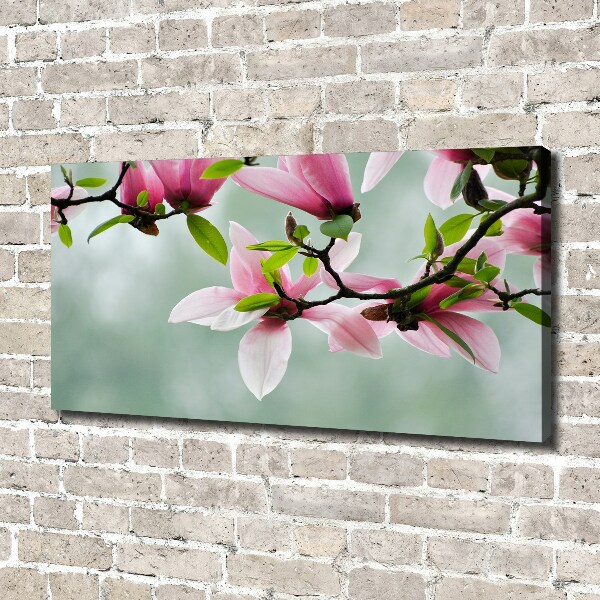 Foto canvas Magnolia